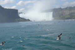 D140824-105458-HX50-DSC00689-2