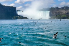 D140824-105458-HX50-DSC00689