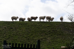 D240316-114221-A7C2-DSC07439-2