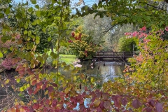 1_D251005-150547-I16-IMG_5184