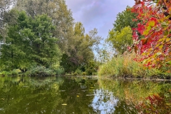 D251005-145244-I16PRO-IMG_6093