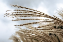 D251005-150340-I16PRO-IMG_6114