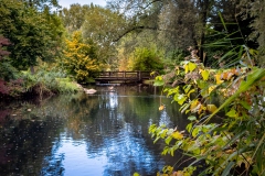 D251005-150532-I16PRO-IMG_6119