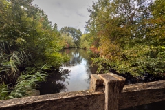 D251005-151357-I16PRO-IMG_6162